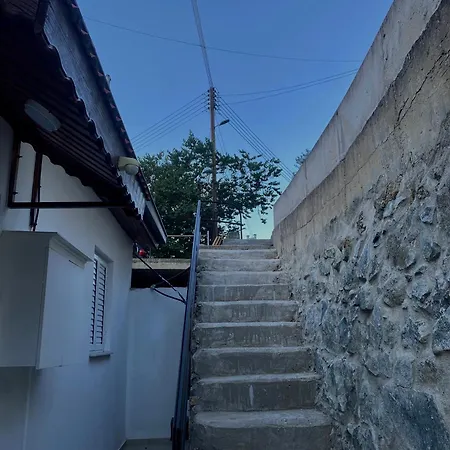 The Heart Of Dom wakacyjny *