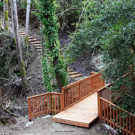 Tatil Evi The Heart Of