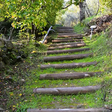 Tatil Evi The Heart Of *