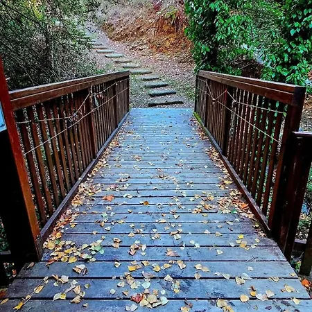 Tatil Evi The Heart Of *