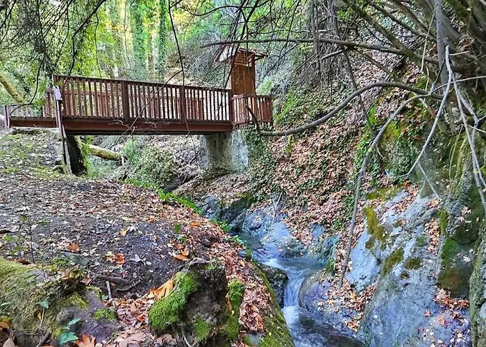 The Heart Of Prázdninový dům *